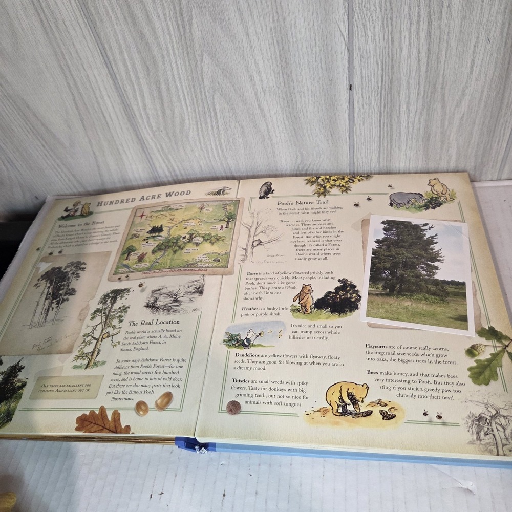 The Enchanted World of Winnie-The-Pooh by Milne, A. A. Book The Fast Free - Picture 6 of 8